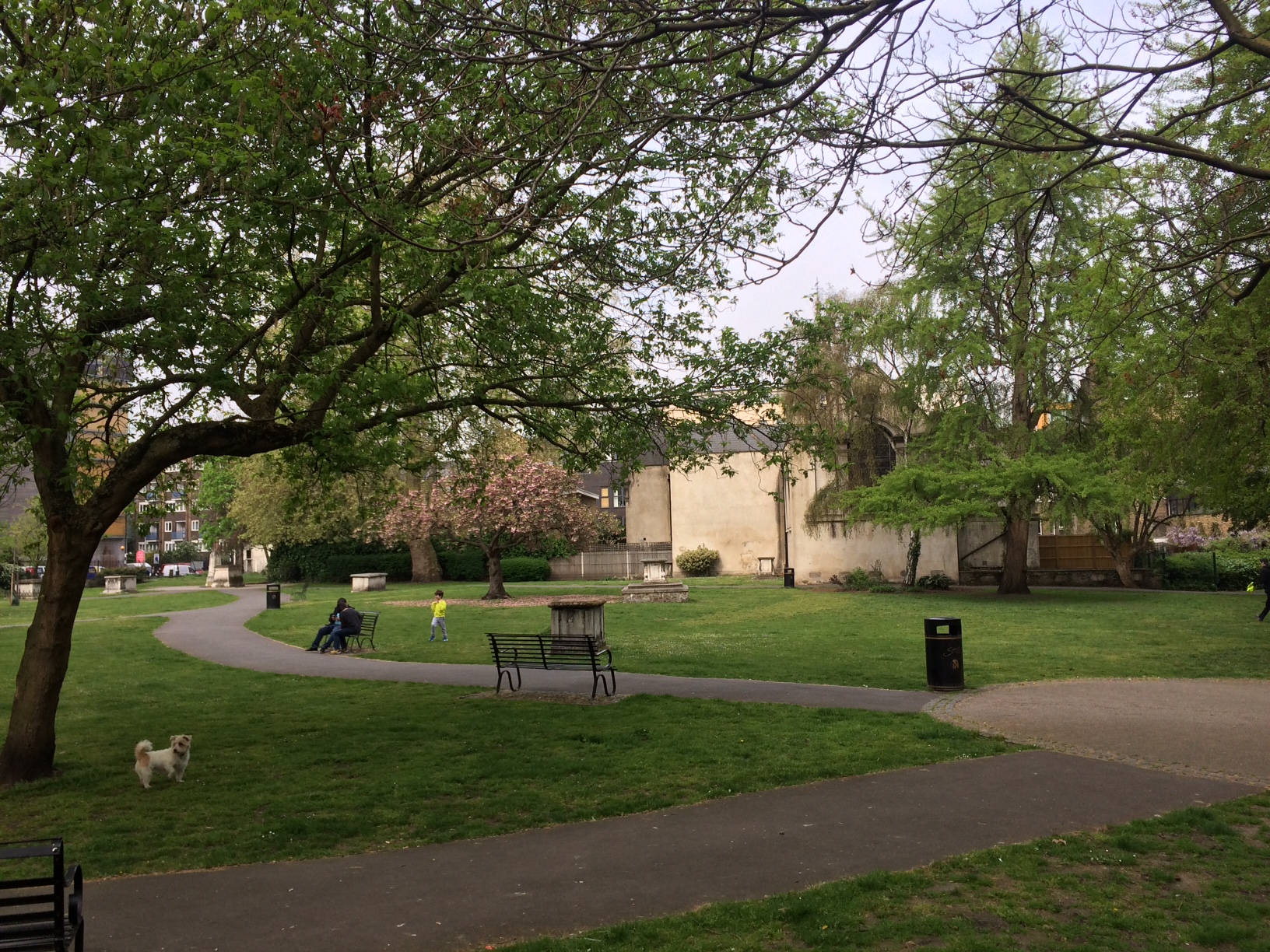 Happy Birthday darling. This morning I took Martha for a walk in St Mary Magdalen churchyard. Just as peaceful and beautiful as you described. I bought a coffee and let her roam for a while. The dogs are more her 'sort' too! We're on or way to see you now xxx
