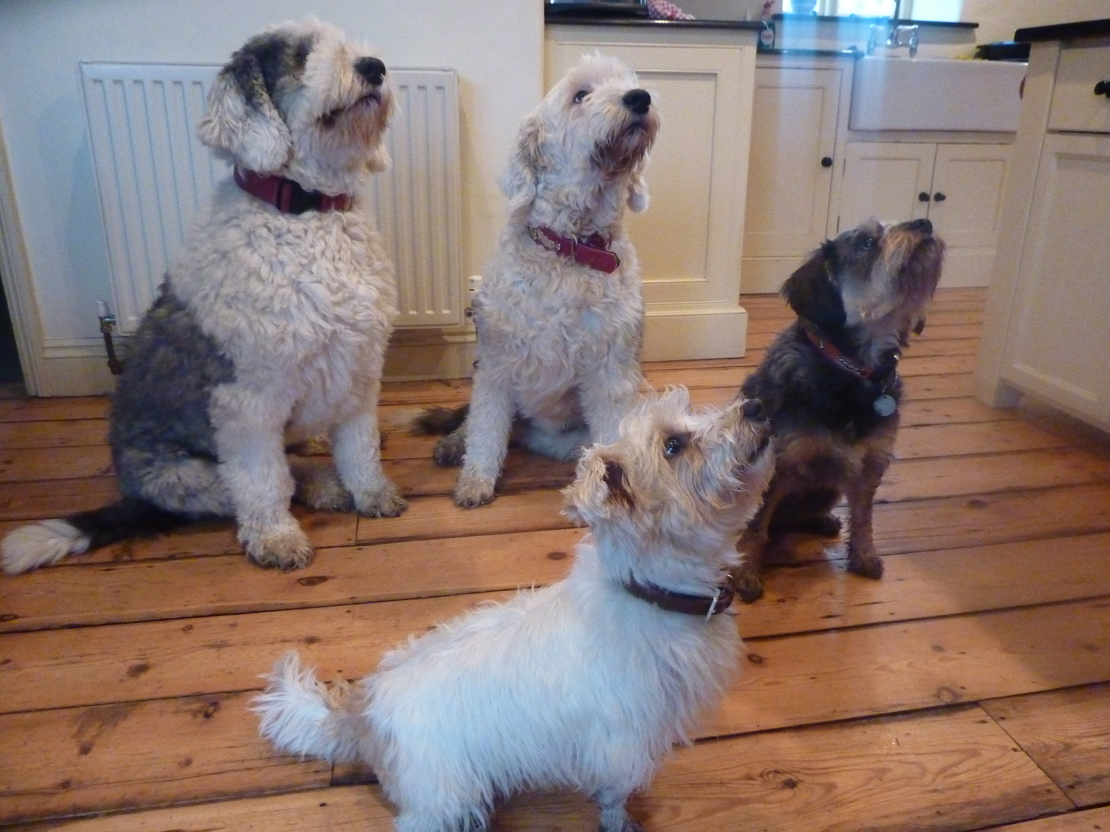 Happy Birthday Claire.  All the way from sunny Cornwall.  Big love as ever xx