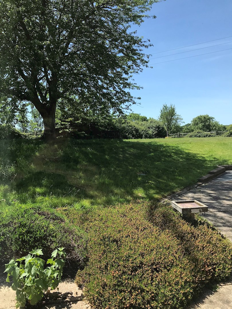 Room with a view. Next stage of the journey; St Peter & St James Hospice. 