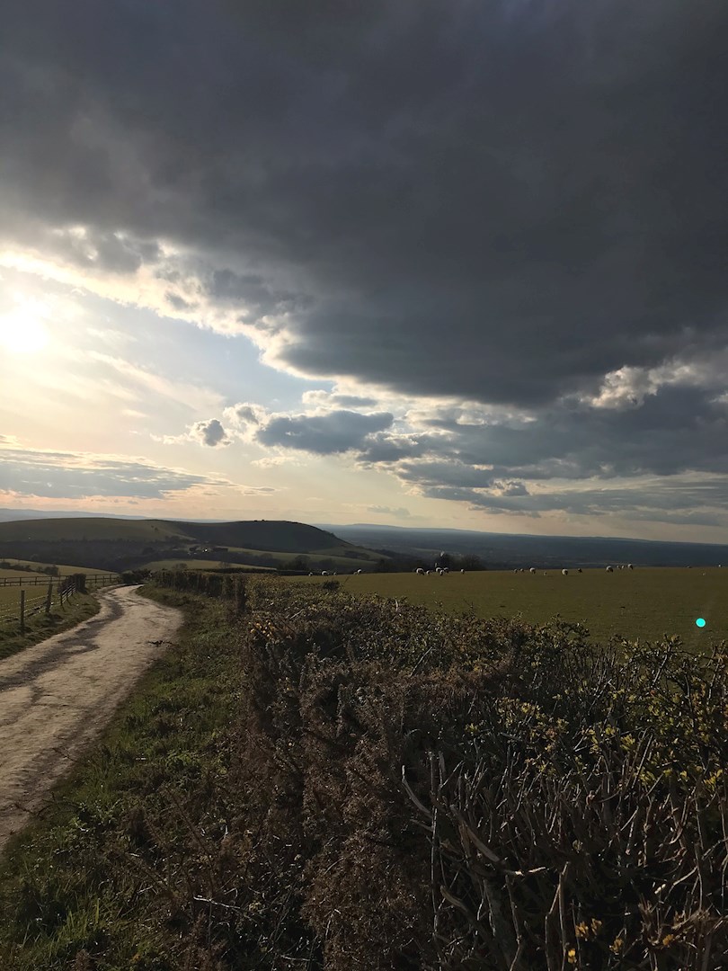 It lies not in our power to love or hate, 
For will in us is overruled by fate. 
When two are stripped, long ere the course begin, 
We wish that one should lose, the other win; 
And one especially do we affect
Of two gold ingots, like in each respect: 
The reason no man knows; let it suffice 
What we behold is censured by our eyes. 
Where both deliberate, the love is slight: 
Who ever loved, that loved not at first sight?  

                          Christopher Marlowe (1564 - 1593) 

...Thank you for all messages today, 12th April.